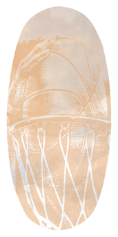 DASOV 348 BZ On Gods Court Bronze